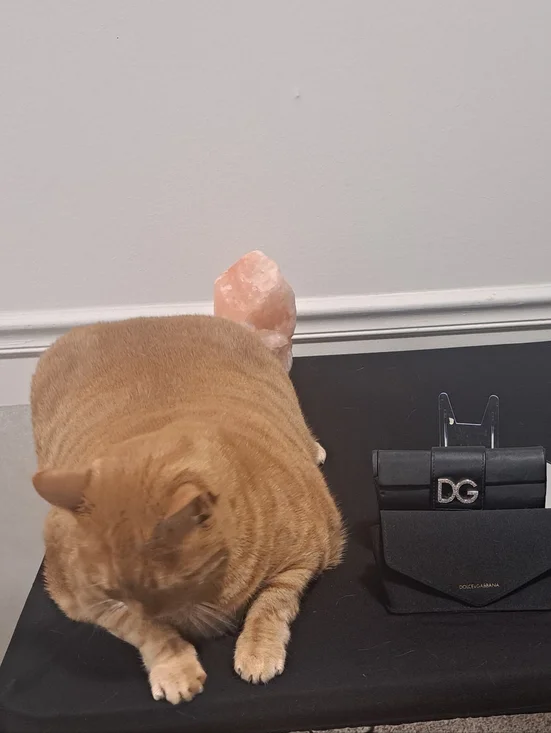 Dolce.& Gabbana Brown Gradient Sunglasses with Gold Logo & 2 Sunglass cases - Picture 7 of 13